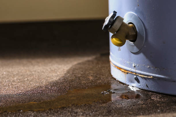 Best Basement water damage restoration  in Scarsdale, NY