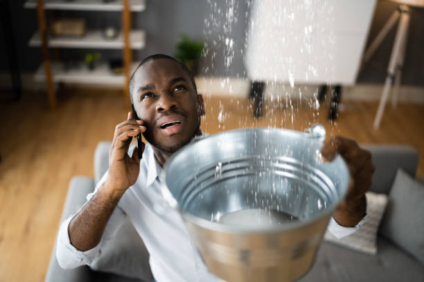 Best Water damage restoration experts  in Scarsdale, NY