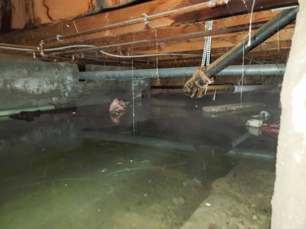  Scarsdale, NY Water damage restoration Pros