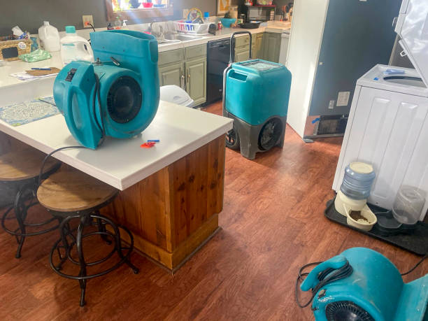 Best 24-hour water damage restoration  in Scarsdale, NY