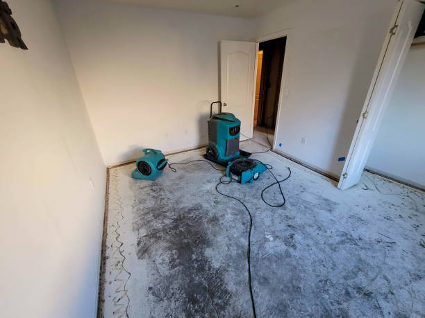Best Professional water damage repair  in Scarsdale, NY