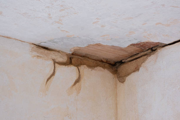 Best Carpet water damage restoration  in Scarsdale, NY