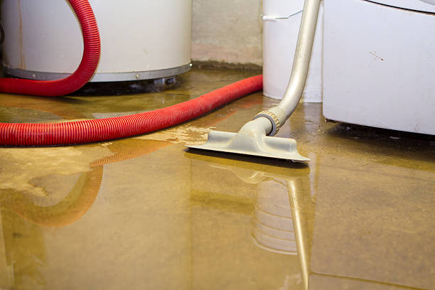 Best Water damage cleanup near me  in Scarsdale, NY