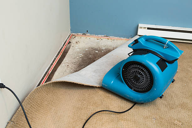 Best Water damage contractors near me  in Scarsdale, NY